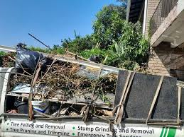 Best Property Management Cleanouts  in New Baltimore, VA